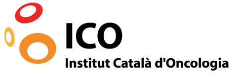 Instituto de Crédito Oficial (ICO)